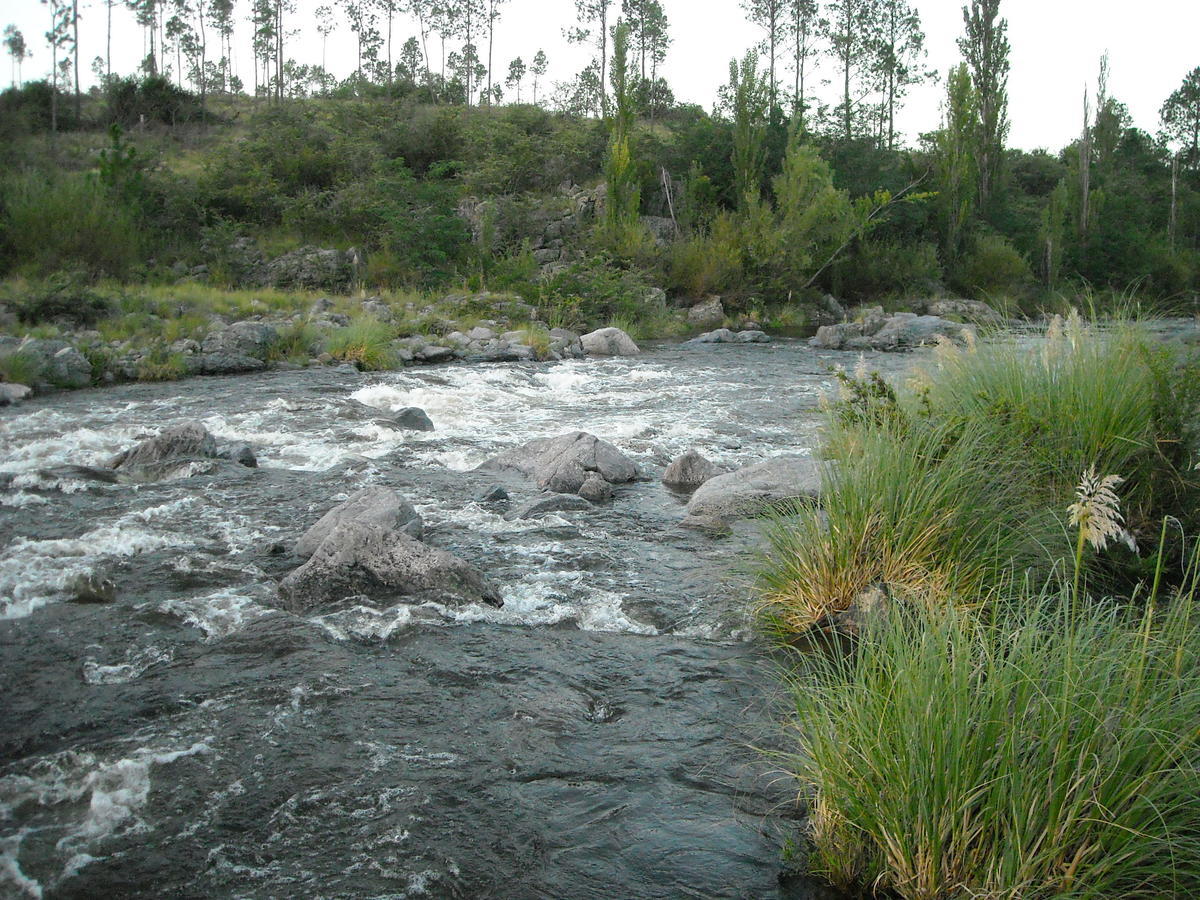 Cabanas Ecos Del Rio Los Reartes Szoba fotó